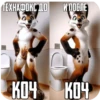 ТЕХНАФОКС ДО И ПОСЛЕ КОЧ КОЧ