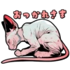 Cat stamp Sphinx 19