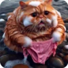 Gatos 9 👩🏻‍🎨 Img.1712 13