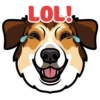 Loki 7