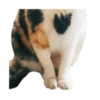 Looong animals 22
