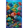 💥Animales del Fondo marino 💥 18
