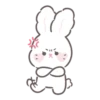 Bunny ➝ 19