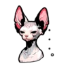 Cat stamp Sphinx 21