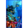 💥Animales del Fondo marino 💥 19