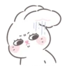 Bunny ➝ 20
