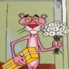 Pink Panther 11