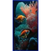 💥Animales del Fondo marino 💥 22