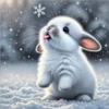 💥Animalitos Cutes💥 23