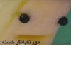 موز تقیانگر خسته