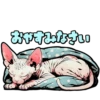 Cat stamp Sphinx 25