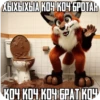 ХЫХЫХЫА КОЧ КОЧ БРОТАН КОЧ КОЧ КОЧ БРАТ КОЧ
