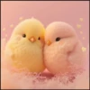 💥Animalitos tiernos 2💥 16