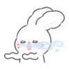 Bunny ➝ 24
