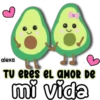 TU ERES EL AMOR DE mi vida