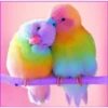💥Animalitos tiernos 2💥 20