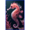 💥Animales del Fondo marino 💥 25