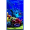 💥Animales del Fondo marino 💥 26