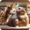 Gatos 9 👩🏻‍🎨 Img.1712 26