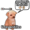 Bralen K por dormir en el acto Unos pedillos