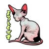 Cat stamp Sphinx 28