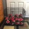 Plush 28