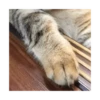 Looong animals 27