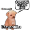 Bralen K Por qué mi vieja me dejó! Unos pedillos