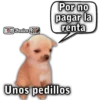 Bralen K Por no pagar la renta Unos pedillos