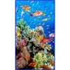 💥Animales del Fondo marino 💥 27