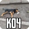 КОЧ