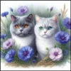 💥Bellos gatitos 💥 30