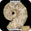 мезозой by 4