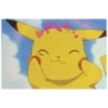 PikaChu~ 12