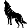 Animalitos en Blanco y Negro💞1🇵🇪Clásica 9