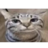 Mix png | 9