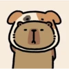 Capybara - Lunar New Year 15