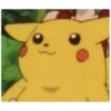 PikaChu~ 13