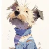 🧿Perrito zodiacal🐕🐶 7