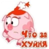 Что за -ХУЙНЯ,