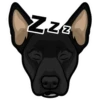ZZZ