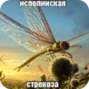мезозой by 15