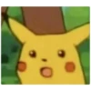 PikaChu~ 24