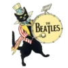 Blackcatforever 16