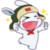 Xiaomi Rabbit 24