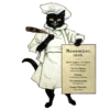 Blackcatforever 19