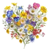 Florecitas Cute🌺💞1🇵🇪Clásica 2