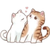 🐈 Variados🇨🇴🇲🇽Clásica 5