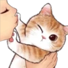 🐈 Variados🇨🇴🇲🇽Clásica 6