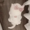 ᨳ◞ cats; 🐾 -> @wexsavi ꒱ 5